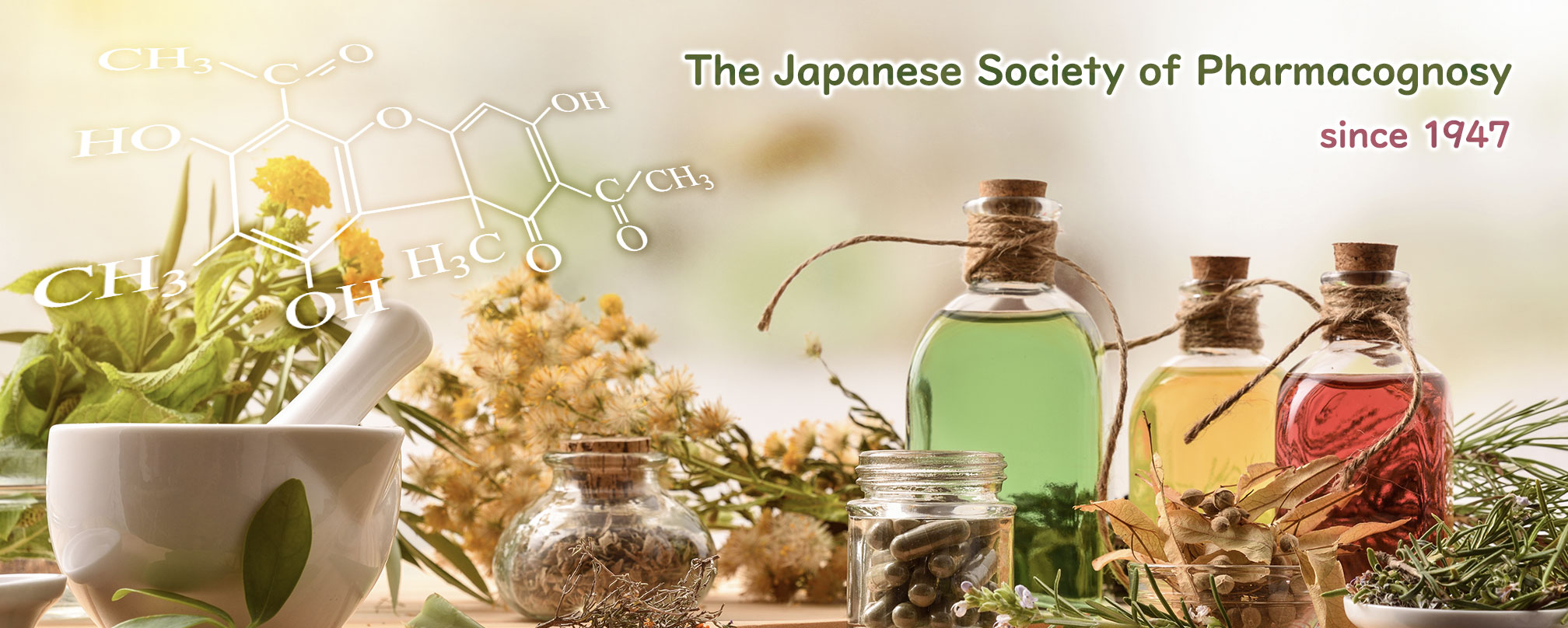 The Japanese Society of Pharmacognosy Since 1947